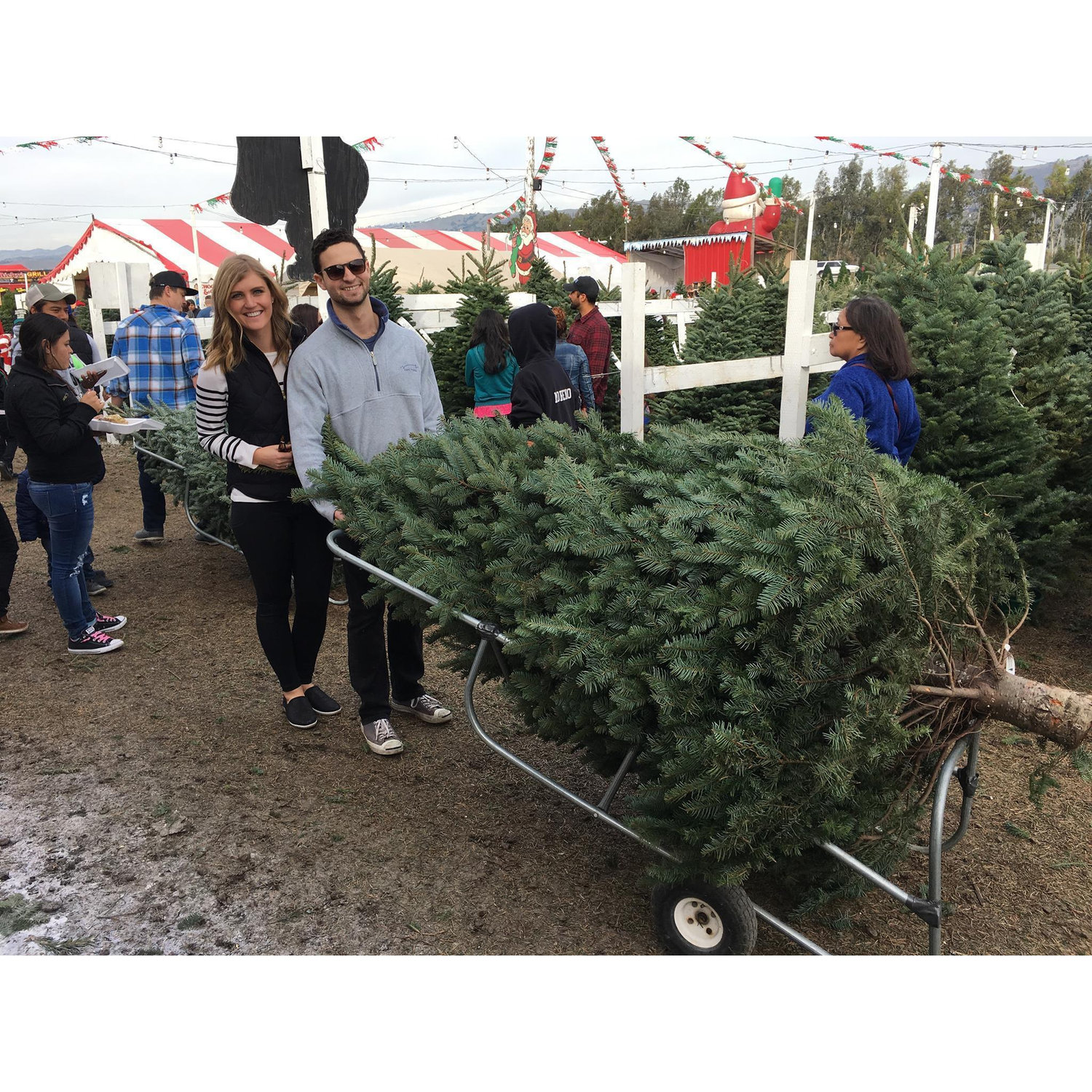 Christmas tree shopping with the family