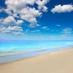 Barefoot Beach County Preserve