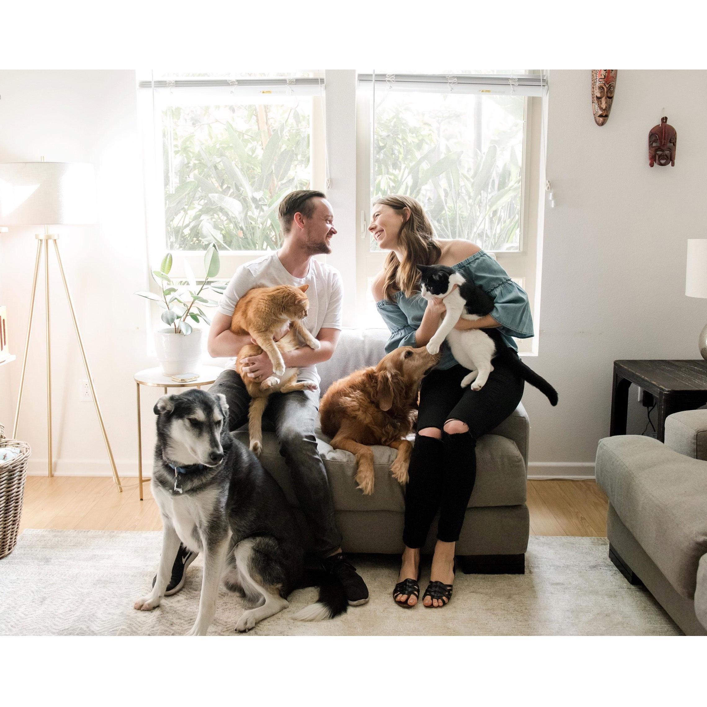 Our first family photo...missing our Buddy, Bandit & Tuna!