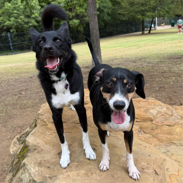 Lyla & Griz Fund