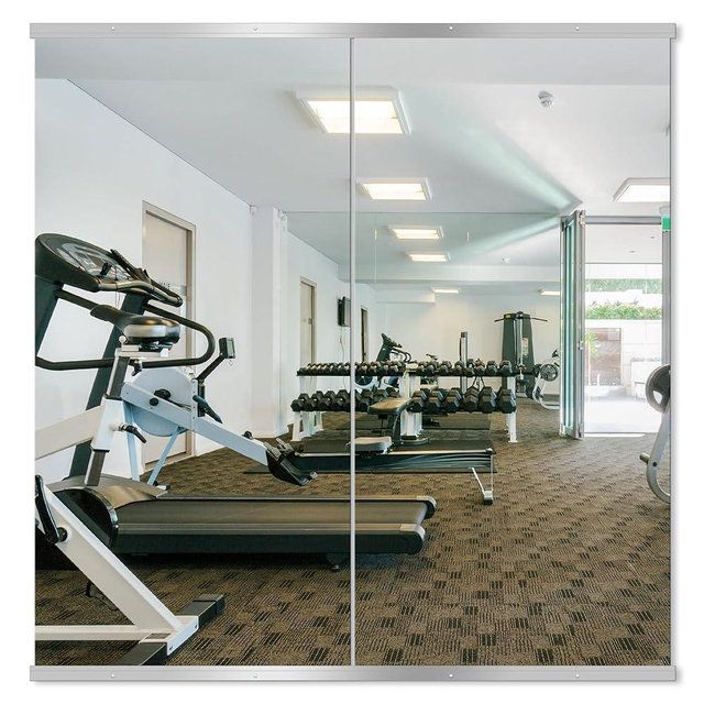 Delma Home Gym Mirror, 50''x25''x2PCS Silver Wall Mounted Large Frameless Tempered Glass Wall Mirror for Home Gym, Garage, Bedroom, Bathroom