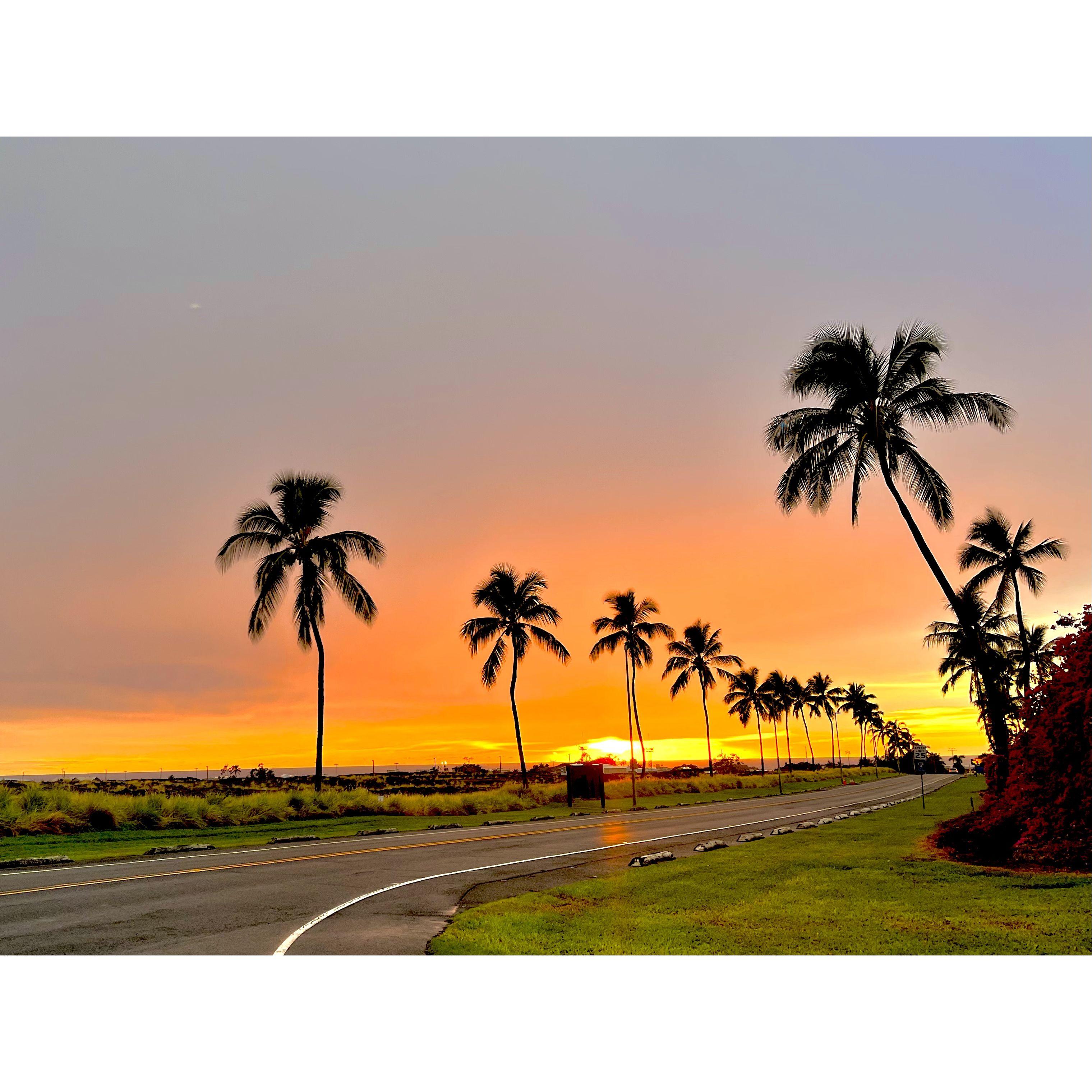 Trip to HAWAII!! - February 2023