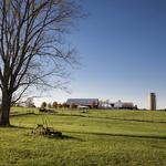 Smith-Berry Vineyard & Winery
