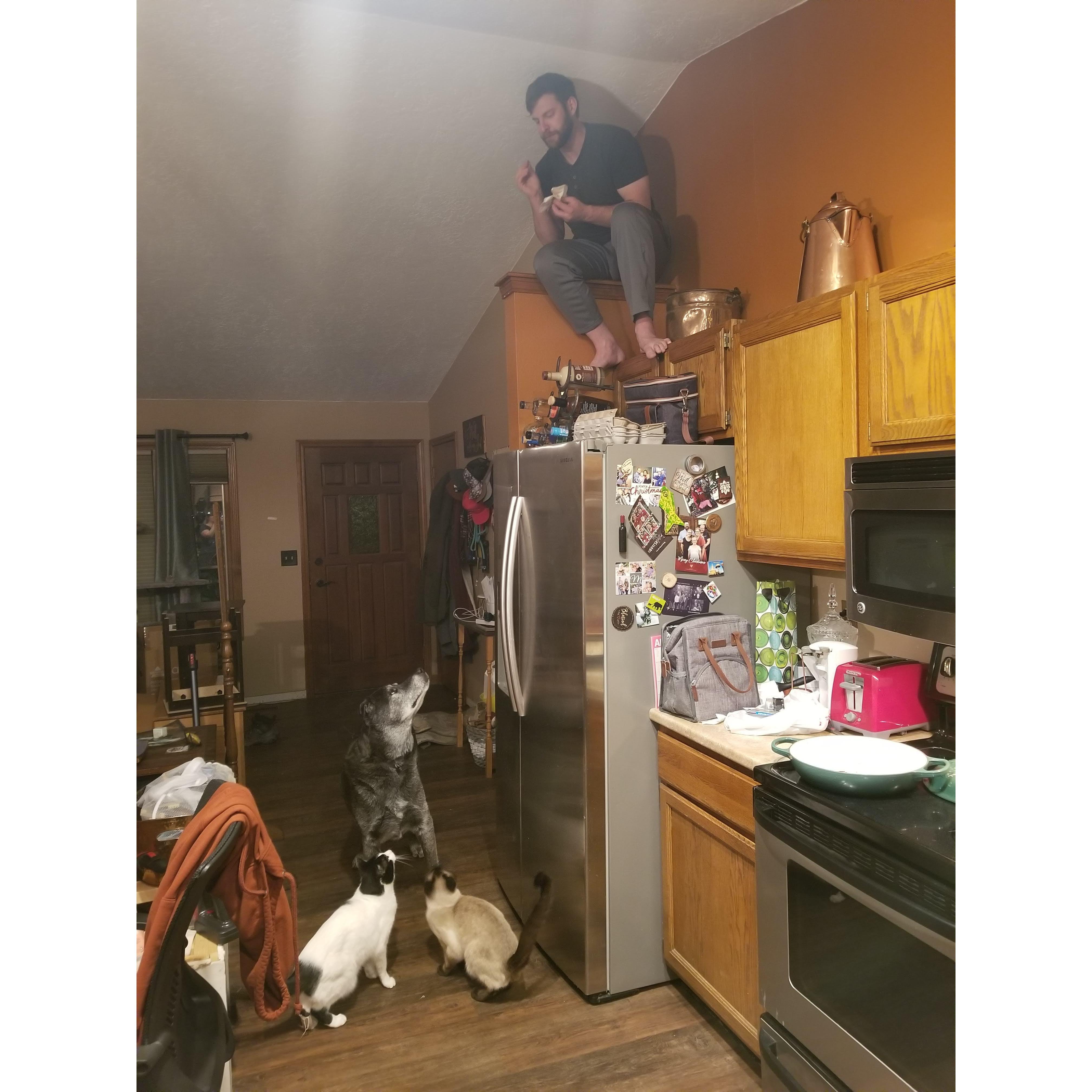 They're all snack mongers.