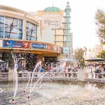 The Grove