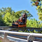 Aerie's Alpine Coaster