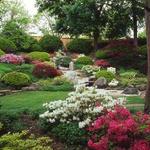 Cleveland Botanical Garden