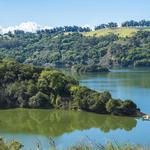 Lake Chabot Regional Park