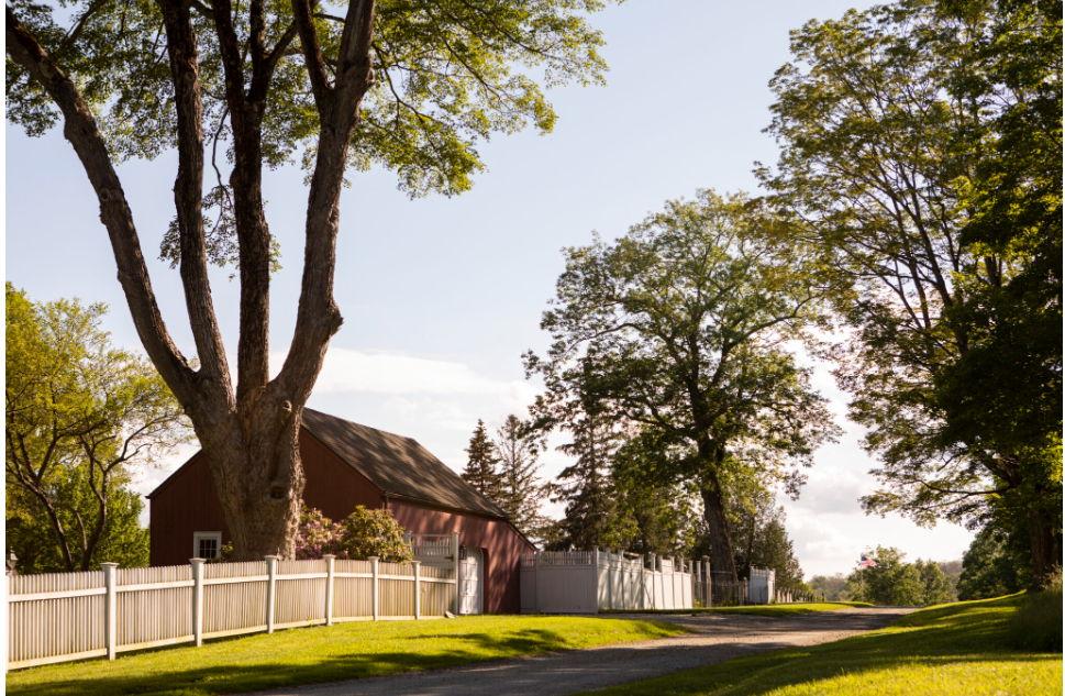 The Wedding Website of Alexis Lainchbury and Connor Mayette