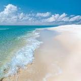 Opal Beach