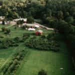 Hyland Orchard and Events