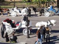 Mid-City Carriages
