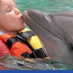 DOLPHIN ENCOUNTER IN PUERTO AVENTURAS