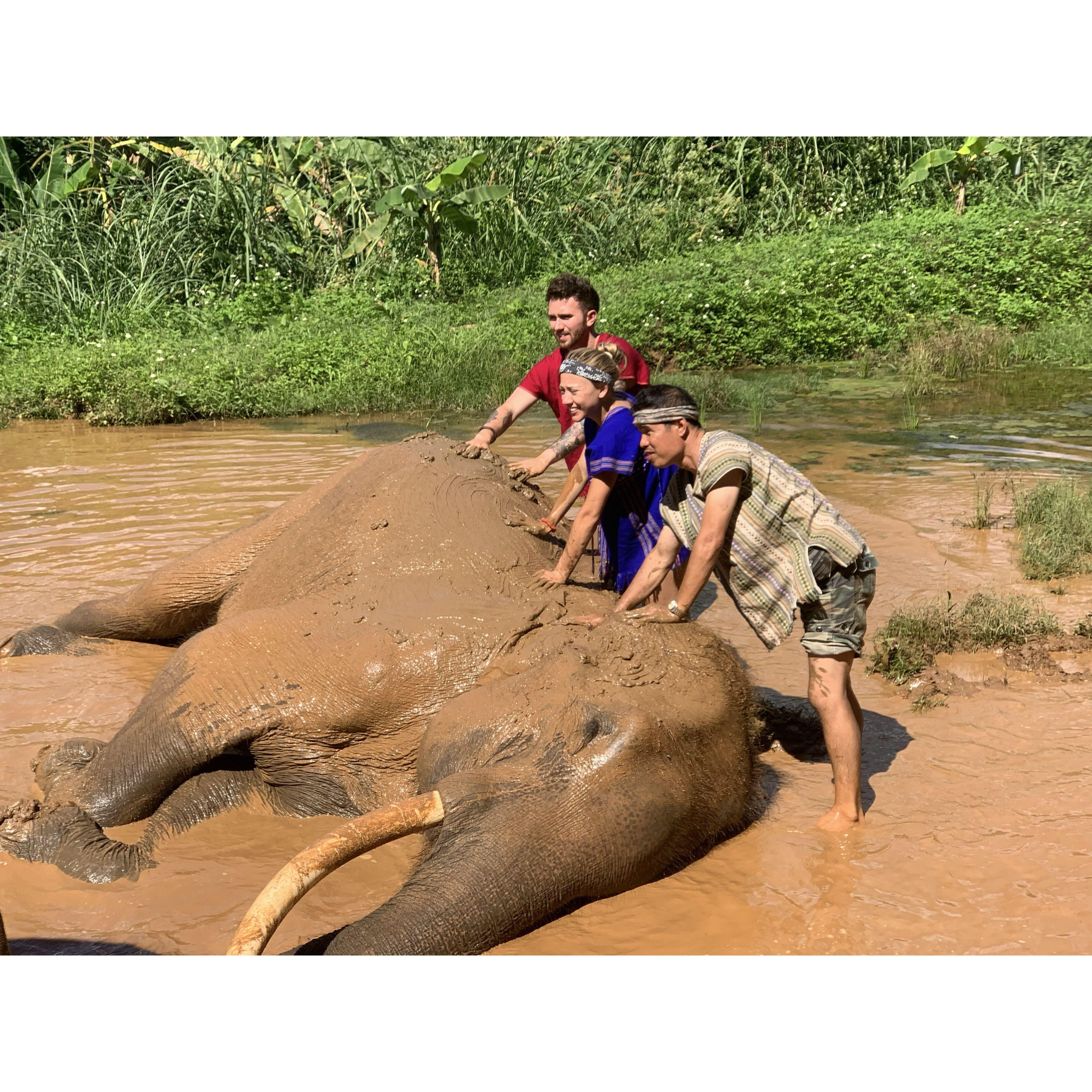 Thailand 2019