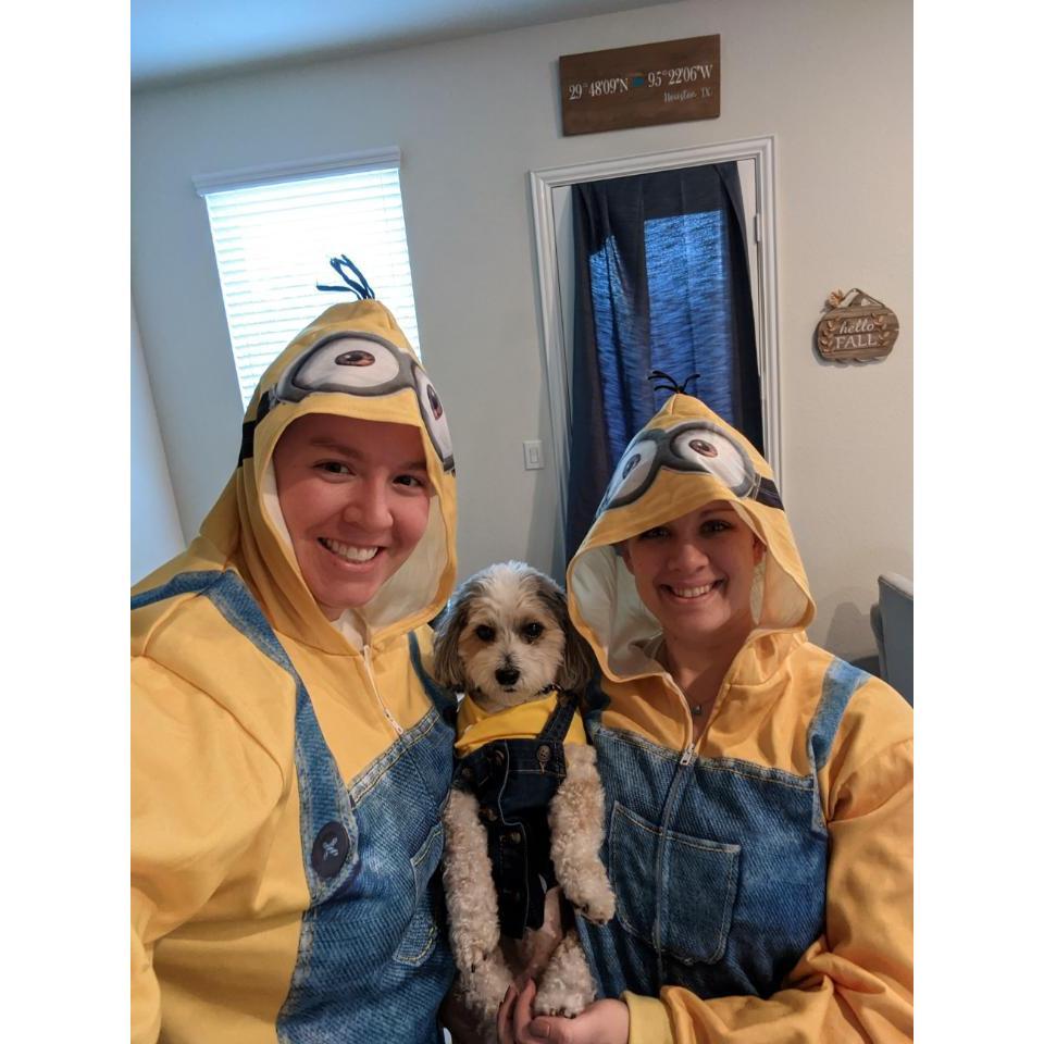 Family Halloween Costumes