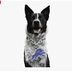 LITTLEARTH NFL Fan Chain for Dogs & Cats, Detroit Lions - Chewy.com