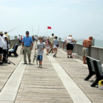 Pier Fishing - Liscense Included (0.4 miles)