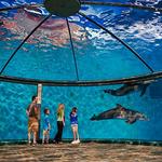 Indianapolis Zoo