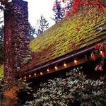 McMenamins Rock Creek Tavern