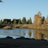 Nature Park
