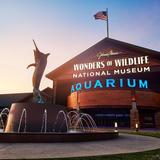 Wonders Of Wildlife National Museum & Aquarium