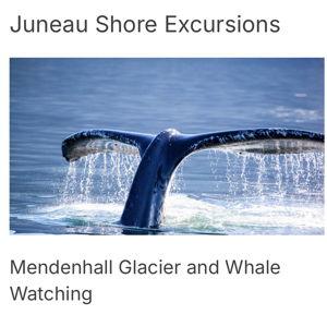 Glacier and Whale Watching Excursion