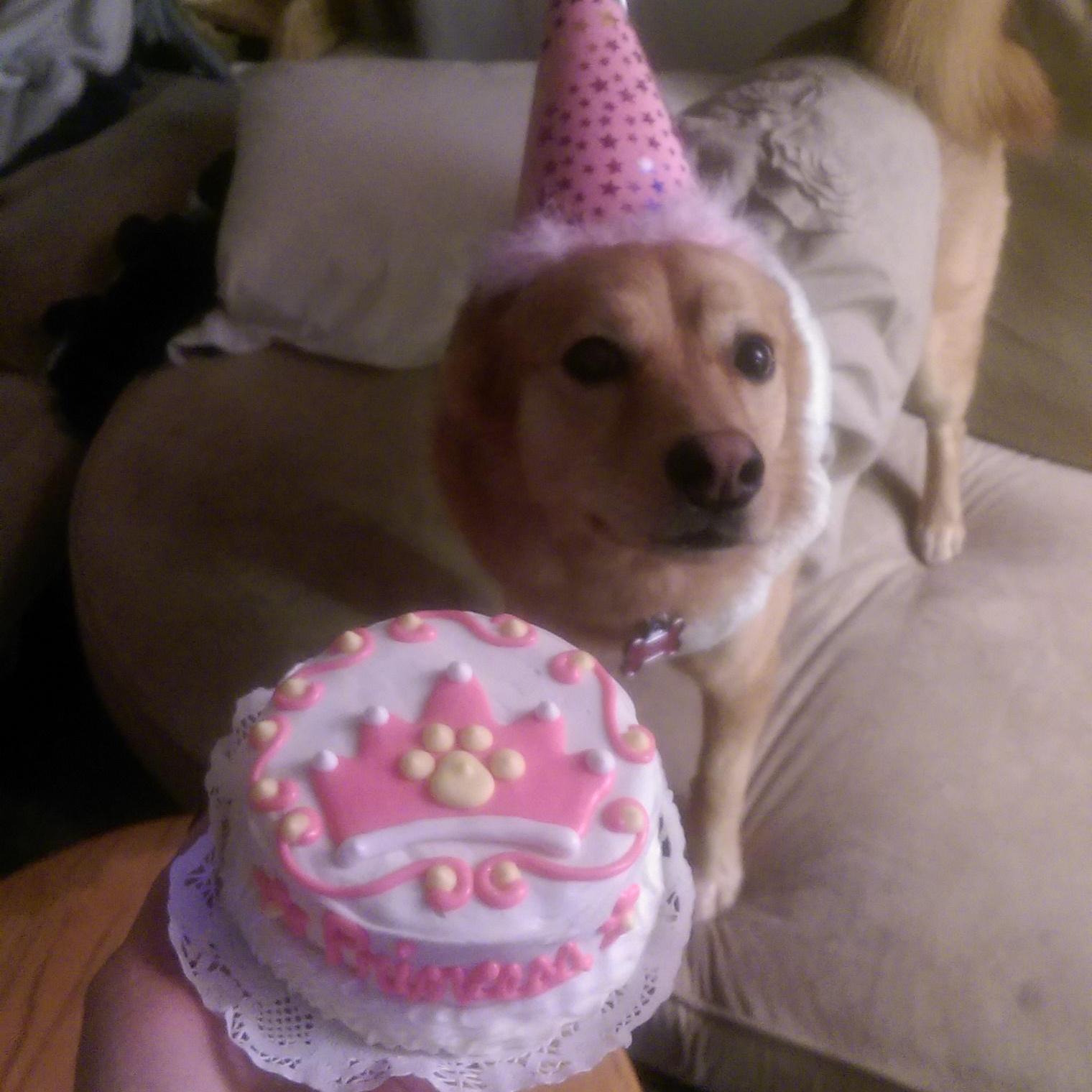Celebrating our baby girl's birthday
Tacoma, 2015