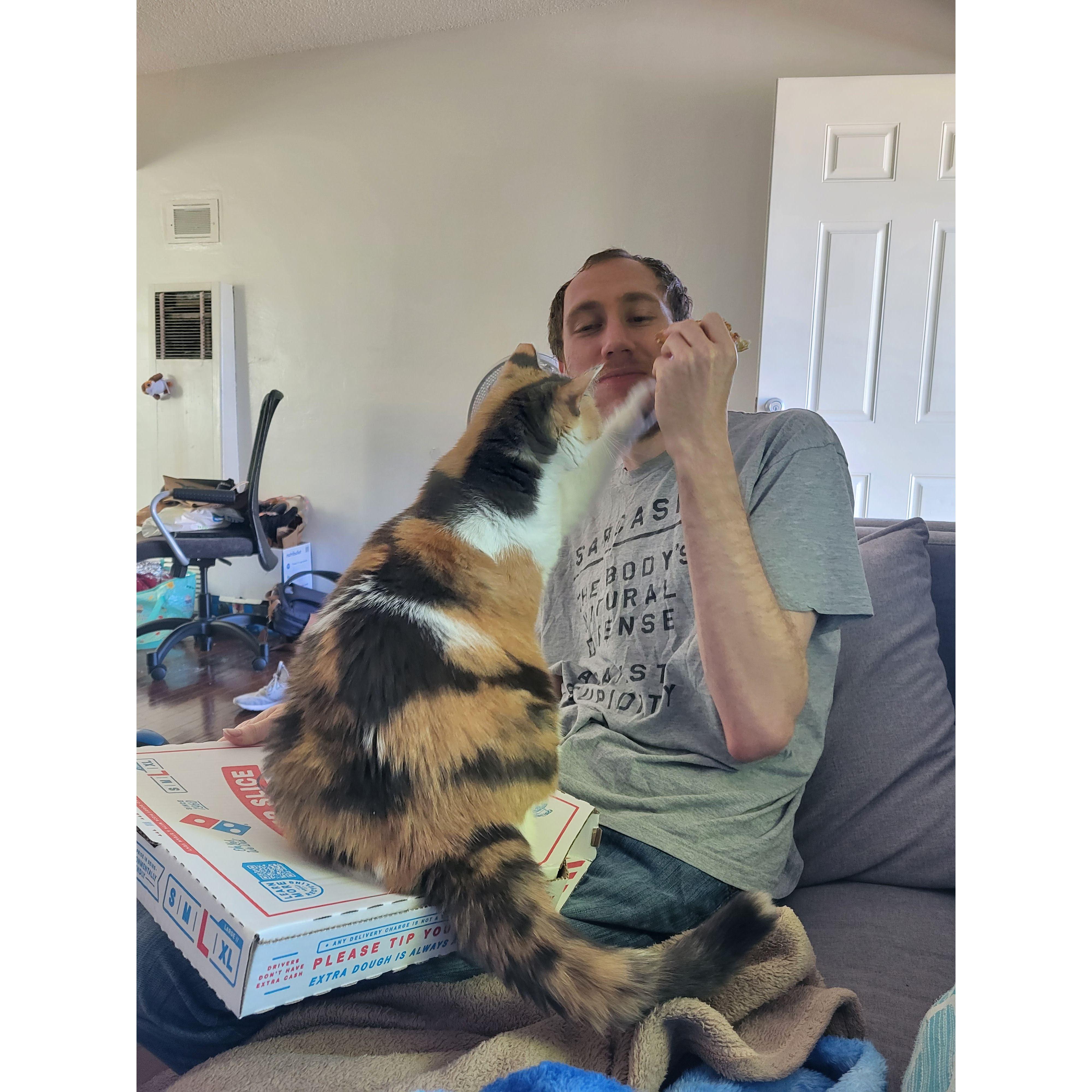 Our cat Patches trying to steal Andy's pizza. Pizza kitty!