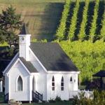 San Juan Vineyard