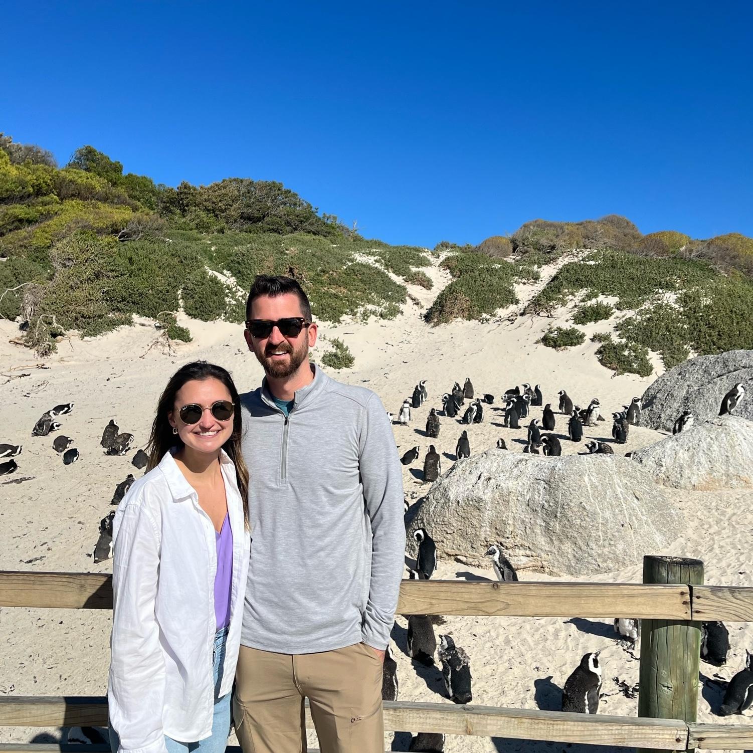 Melissa trains African Penguins for the Georgia Aquarium and we got to go to Boulder's Beach in South Africa where there is a huge colony of African Penguins.