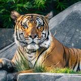 Fresno Chaffee Zoo