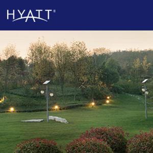Hyatt hotel gift card