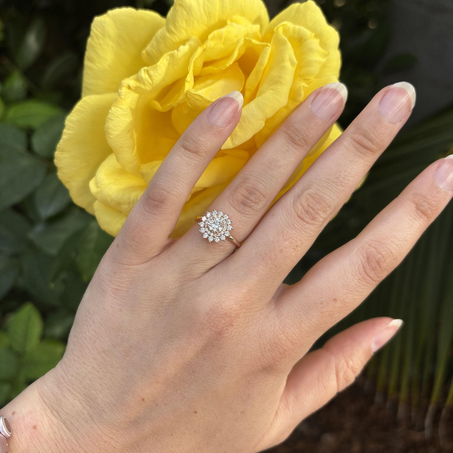"The Ring"