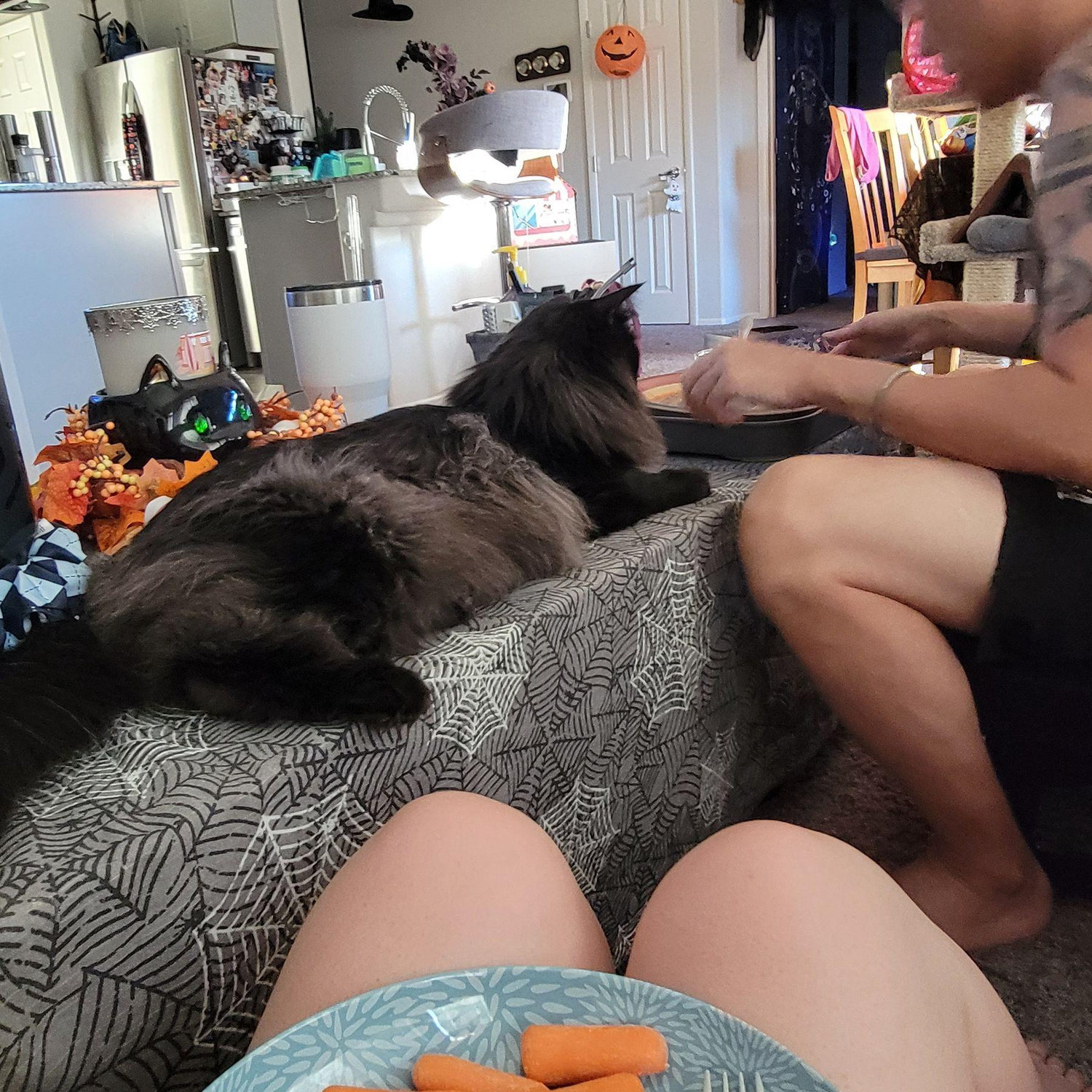 Dinner and a show