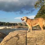 Belle Isle