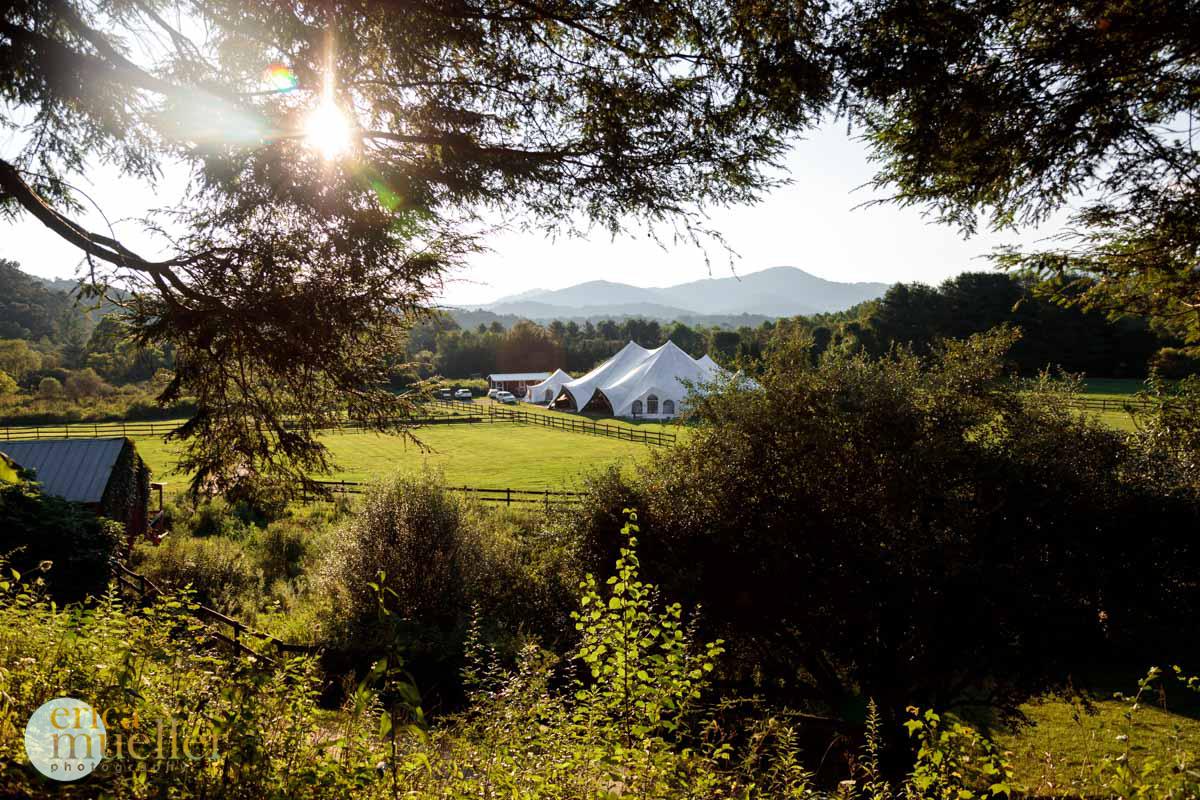 The Wedding Website of Gina Gylys and Ben Lamson
