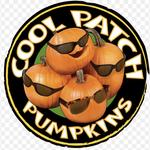 Cool Patch Pumpkins