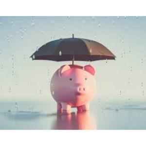 Feed the Piggy-Rainy Day Fund