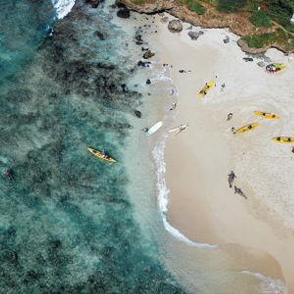 Kayaking and Snorkeling During Honeymoon