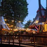 The Blueberry Treehouse Farm & The Treehouse Café