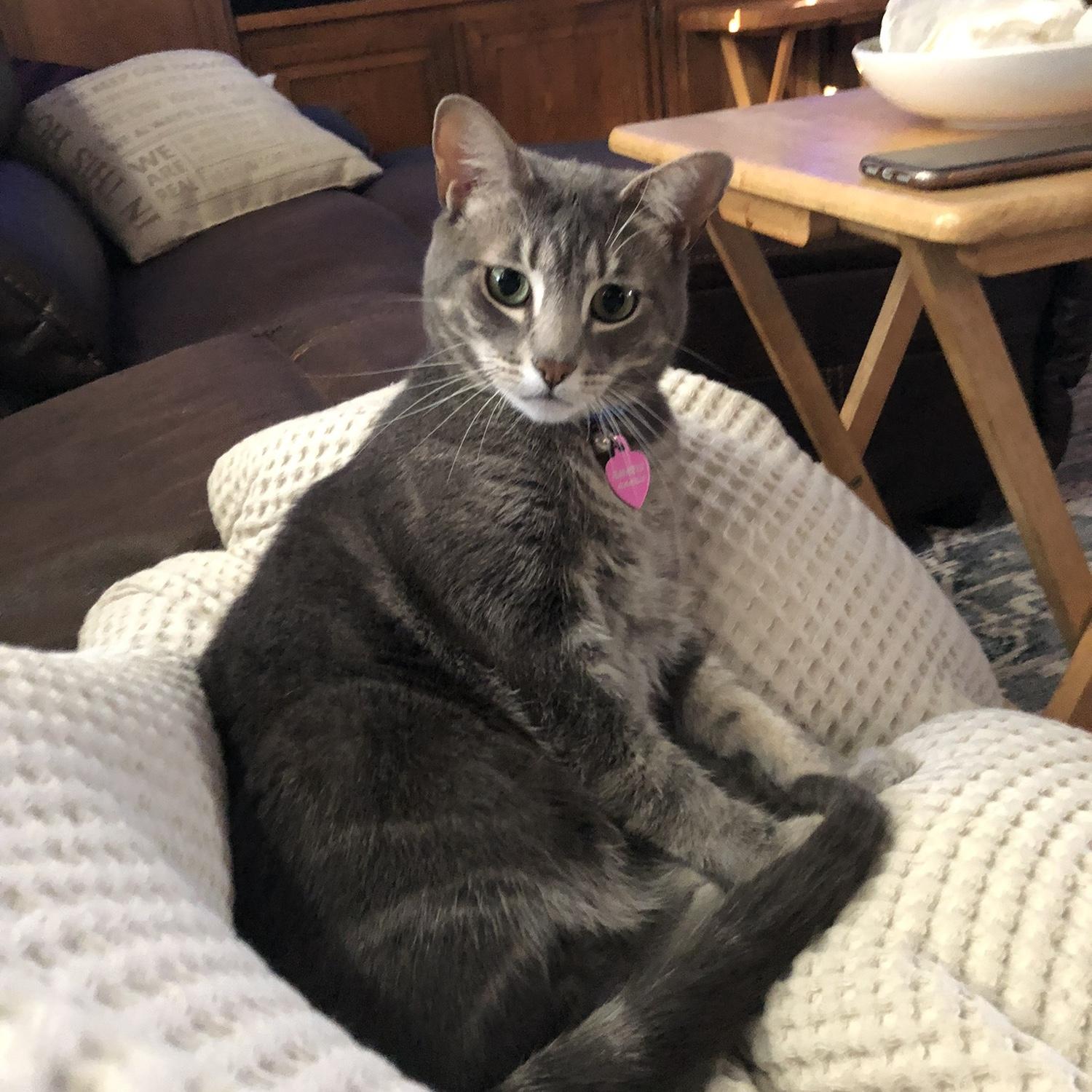 Our Princess, Amaris.