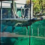 Fort Worth Zoo