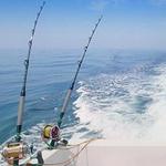 Lead Dog Charters