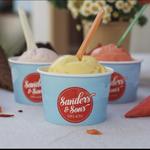 Sanders and Sons Gelato