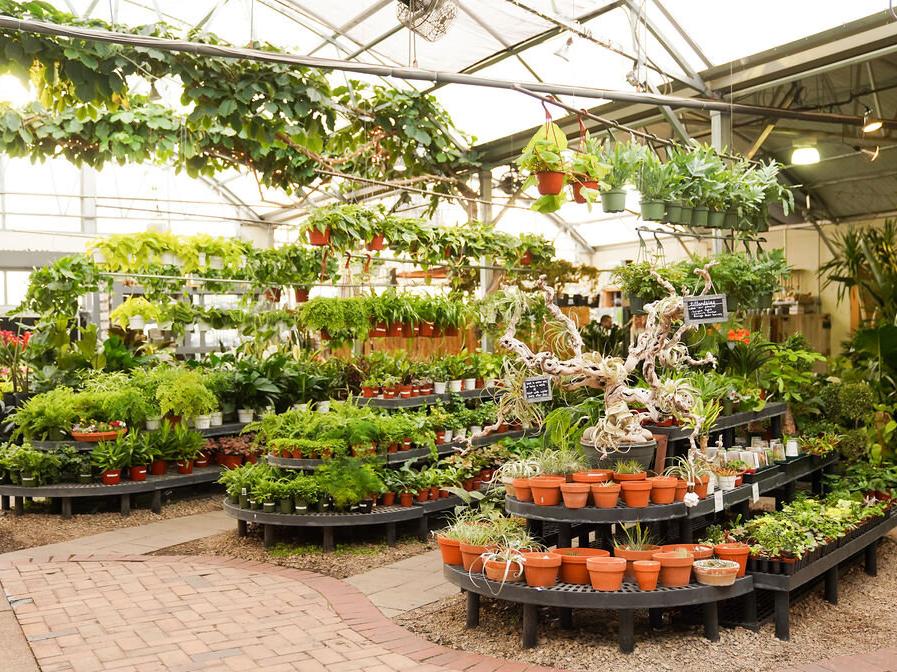 The Wedding Website of Kenya McNeil and Nicolas Gasparro