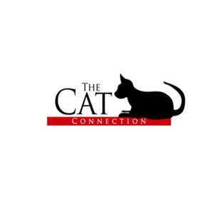 Donate - The Cat Connection Rescue (MA)