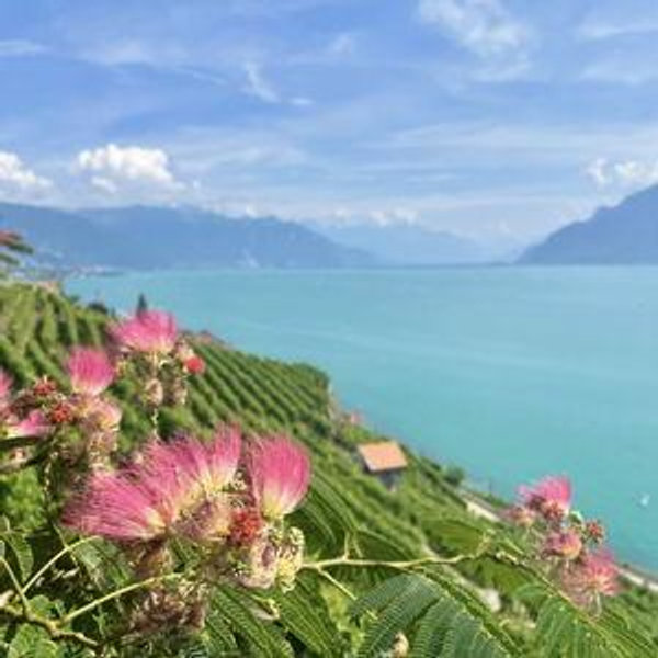 3-night stay in Switzerland