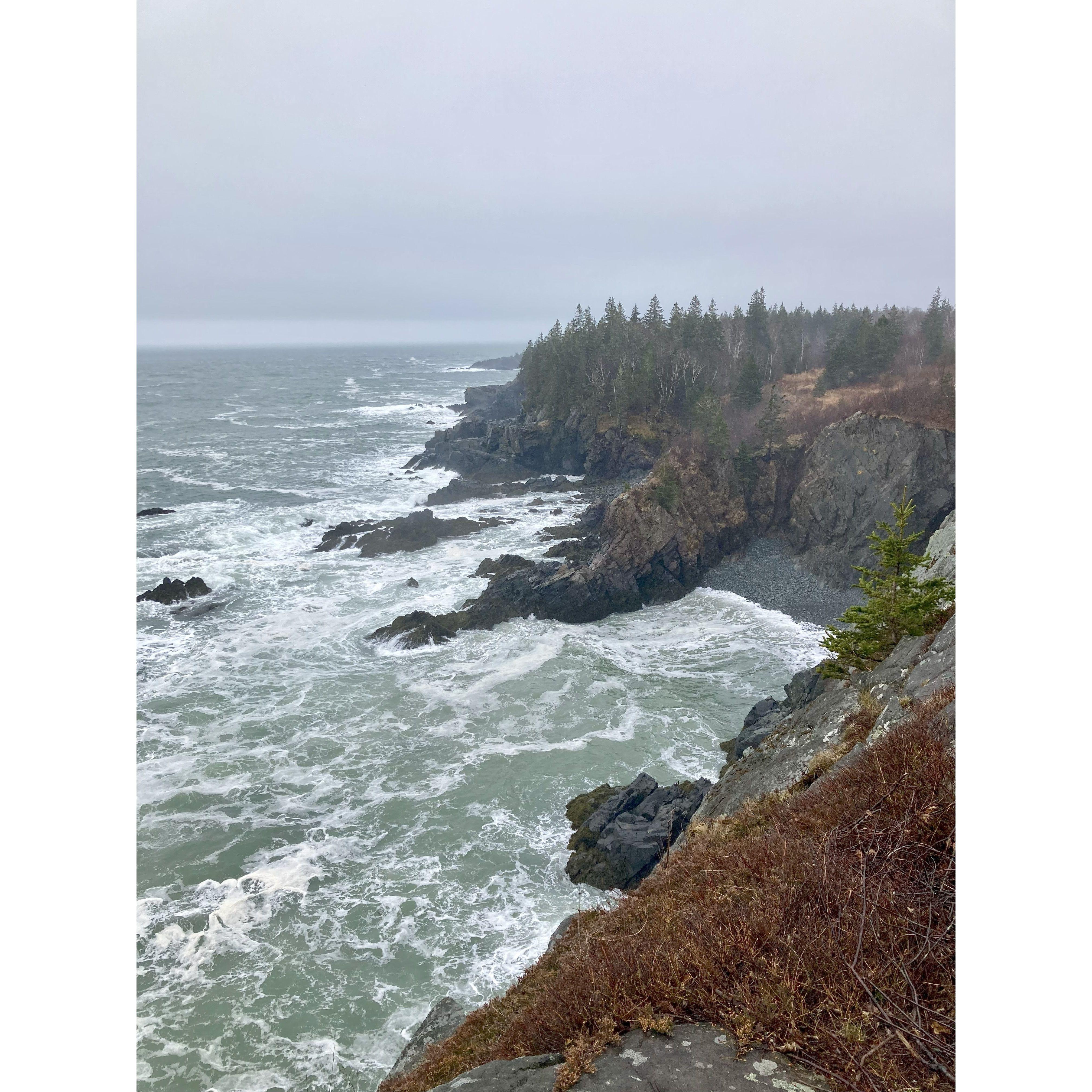 Always foggy at Cutler Coast