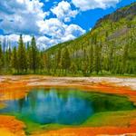 Yellowstone National Park