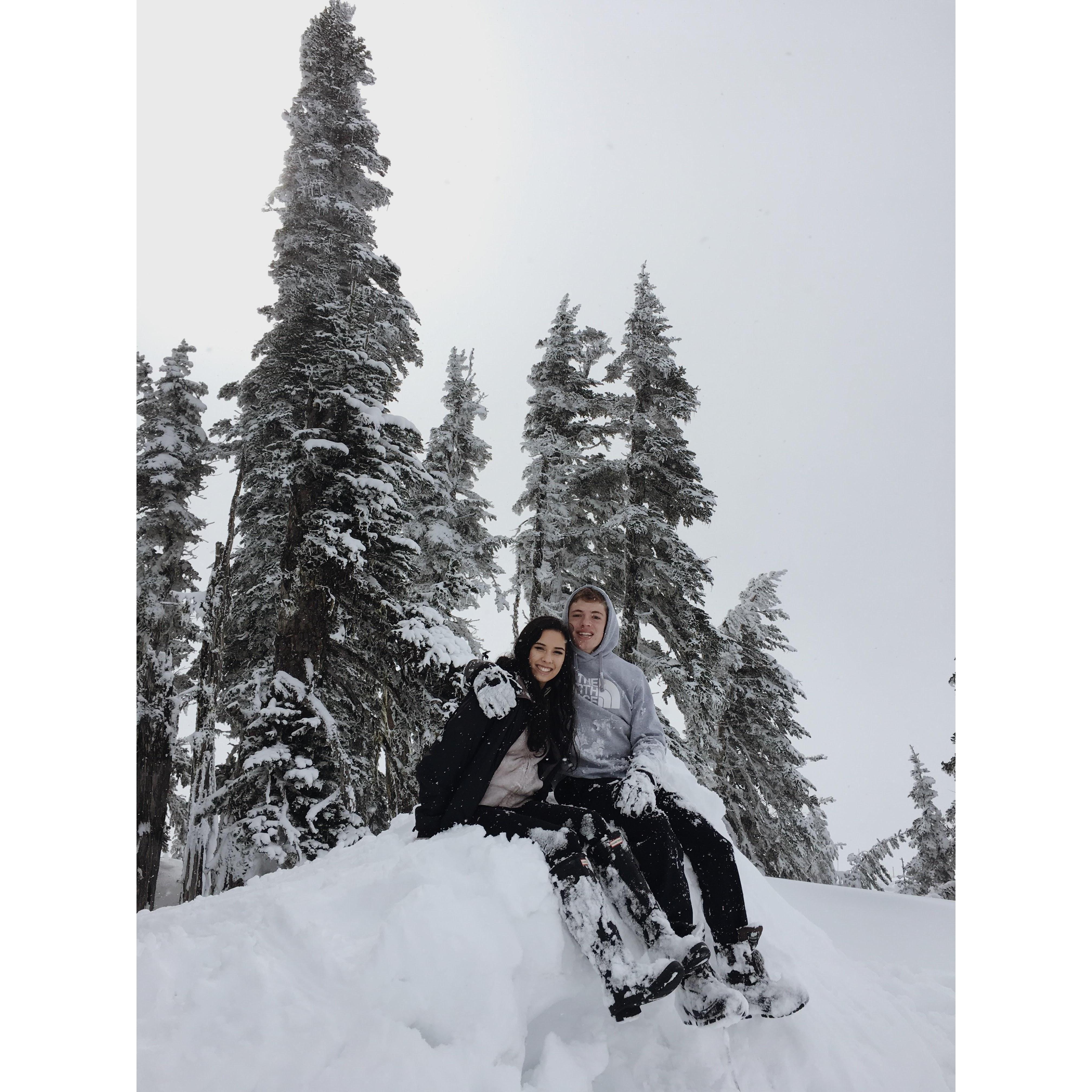 Hurricane Ridge 2017